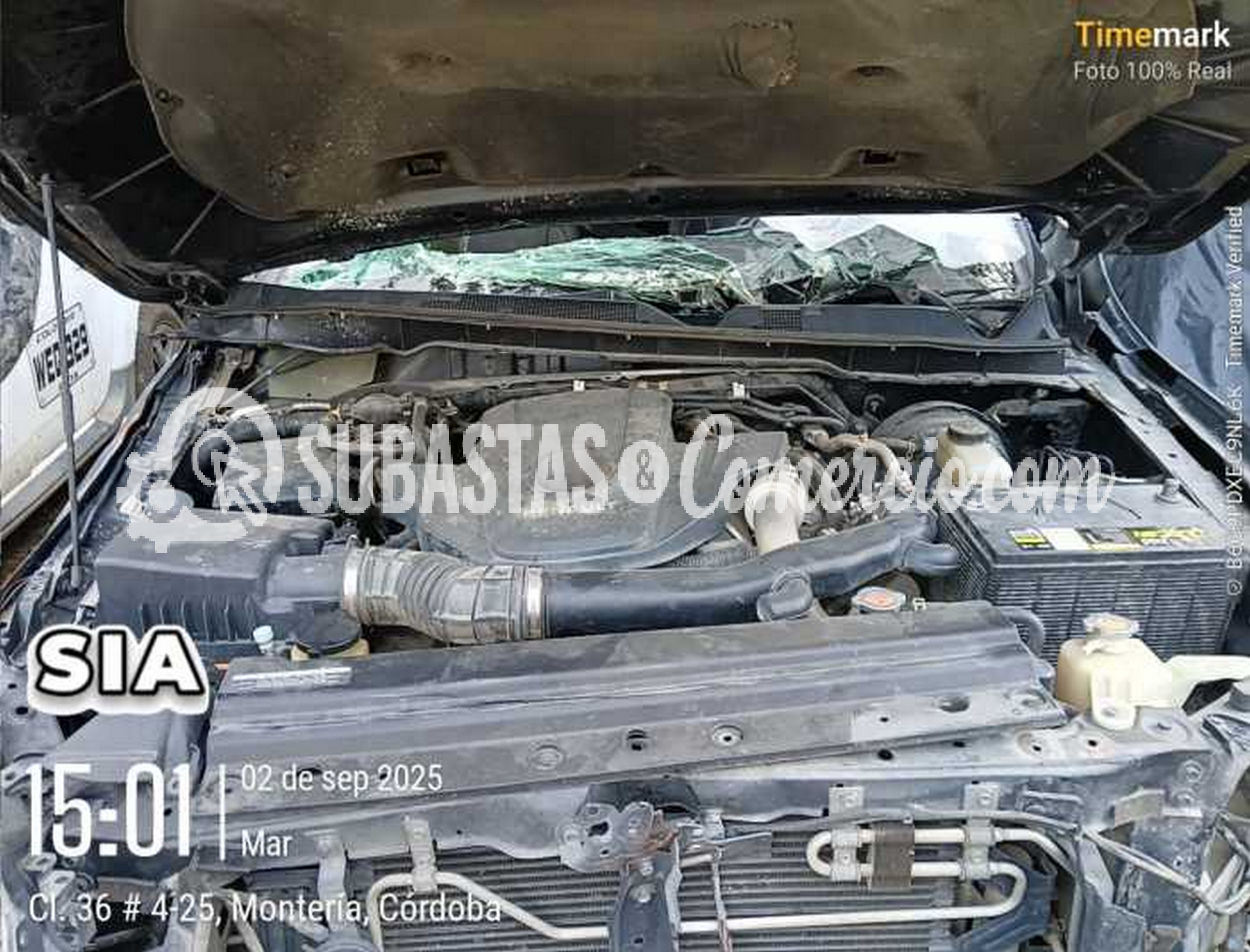 Imagen de WhatsApp 2025-09-02 a las 15.08.22_78e4ffab.jpg
